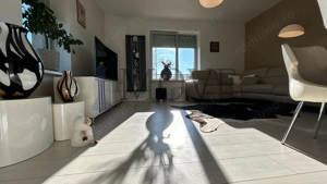 Apartament cochet cu 4 camere Asmita Gardens  -vedere catre Delta Vacaresti - imagine 2