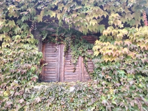 Proprietate in zona Parcului N Romanescu, casa batraneasca si teren de 347 mp