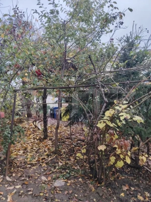 Proprietate in zona Parcului Romanescu, casa batraneasca si teren de 347 mp - imagine 8