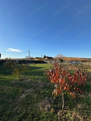 Vând teren intravilan, com. Ineu, Bihor - imagine 4