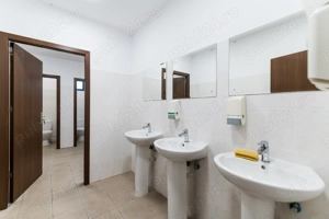 Magurele, de inchiriat spatii de birouri finisate modern! - imagine 8