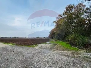 Teren Vladiceasca / Soseaua Vladiceasca 1109 mp Liziera Padurii - imagine 3