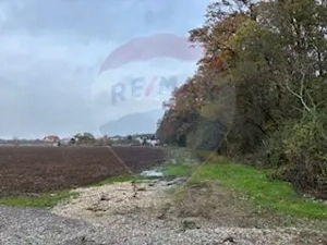 Teren Vladiceasca / Soseaua Vladiceasca 1109 mp Liziera Padurii - imagine 4