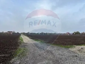 Teren Vladiceasca / Soseaua Vladiceasca 1109 mp Liziera Padurii - imagine 2