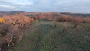 Teren intravilan de vânzare 915 mp – Săldăbagiu de Munte - imagine 6