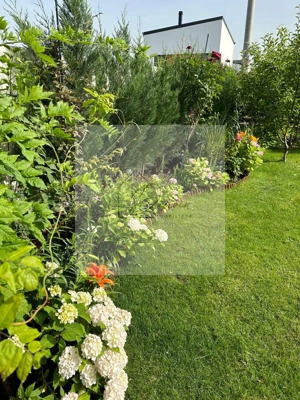 Vila Tunari Otopeni 50m pana la padure | teren 400mp | OCAZIE I COM 0% - imagine 17