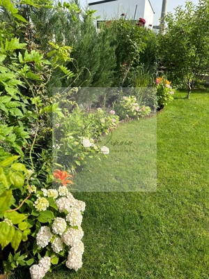 Vila Tunari Otopeni 50m pana la padure | teren 400mp | OCAZIE I COM 0% - imagine 15