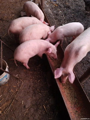 De vânzare  - imagine 3