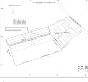 Teren Rediu Horlesti