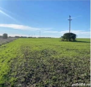 Teren Rediu Horlesti - imagine 4