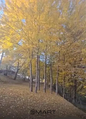 Teren intravilan Cisnadioara  - imagine 3