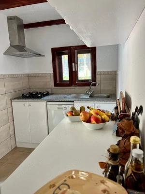 Vand casa Sasca Montana - imagine 3