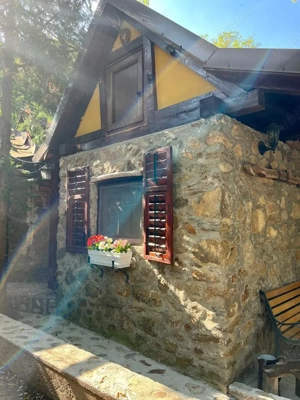 Vand casa Sasca Montana - imagine 2