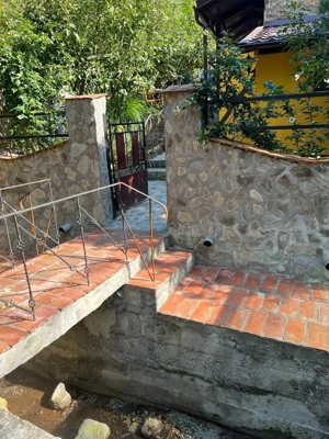 Vand casa Sasca Montana - imagine 7