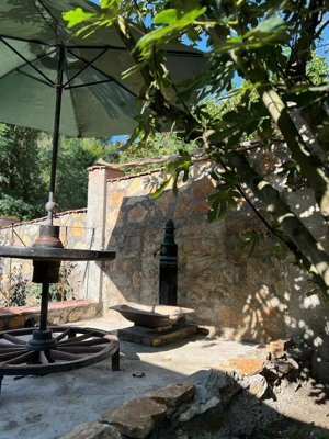 Vand casa Sasca Montana - imagine 6