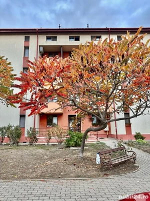Apartament 2 camere, 81mp, Micalaca - imagine 5