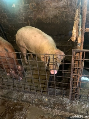 De vanzare!!! - imagine 4