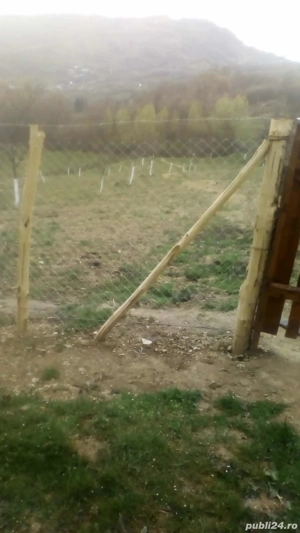 Casă locuibilă + teren 8900 mp, utilități, anexă, livadă-toate actele. - imagine 5