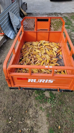 Remorca motocultor Ruris