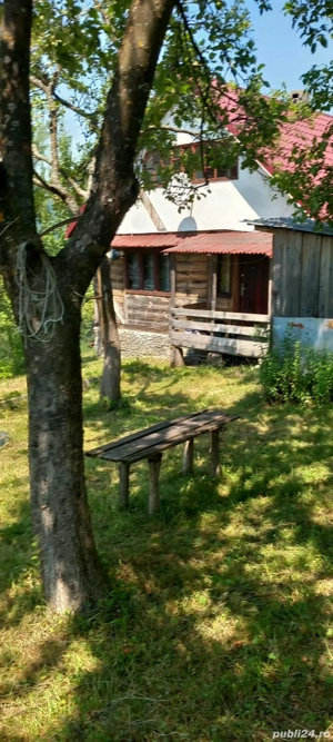 Casă locuibilă + teren 8900 mp, utilități, anexă, livadă-toate actele. - imagine 10