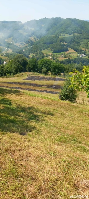 Casă locuibilă + teren 8900 mp, utilități, anexă, livadă-toate actele. - imagine 9