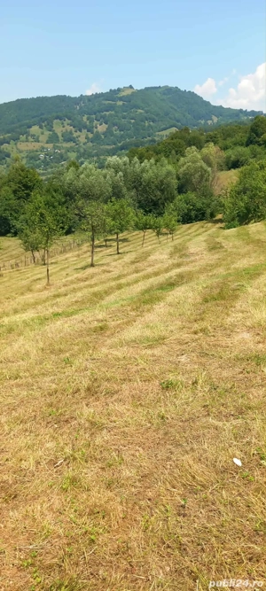 Casă locuibilă + teren 8900 mp, utilități, anexă, livadă-toate actele. - imagine 8