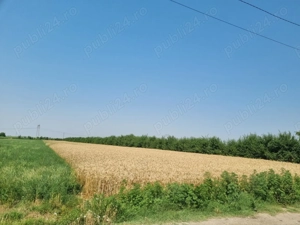 Teren intravilan + extravilan Targsorul Vechi - imagine 4