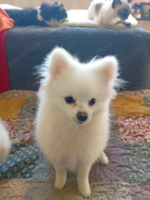 Doar pentru persoane responsabile