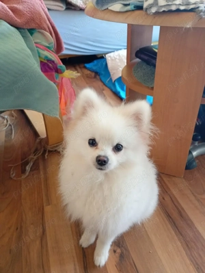 Doar pentru persoane responsabile - imagine 2