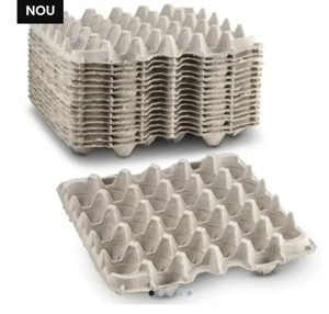 CASEROLE pentru 10 ouă  - imagine 4