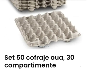 CASEROLE pentru 10 ouă  - imagine 3