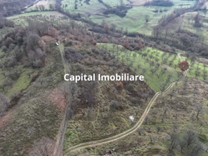 Teren de vânzare in Groși, Maramureș, 55 ari  - imagine 3