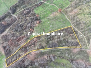 Teren de vânzare in Groși, Maramureș, 55 ari  - imagine 2