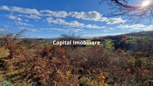 Teren de vânzare in Groși, Maramureș, 55 ari  - imagine 6