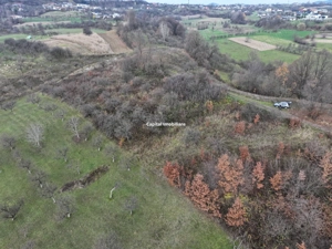 Teren de vânzare in Groși, Maramureș, 55 ari  - imagine 4