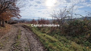 Teren de vânzare in Groși, Maramureș, 55 ari  - imagine 8