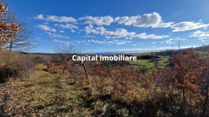 Teren de vânzare in Groși, Maramureș, 55 ari  - imagine 5