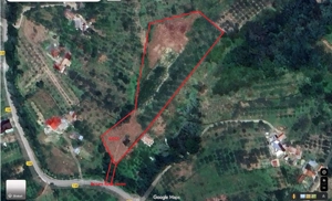 Vand teren cu pomi fructiferi + teren agricol 