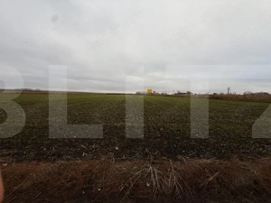 Teren intravilan Catamarasti-Deal 5000mp