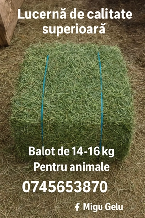 Baloti lucerna coasa 2 și 3