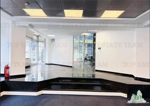 Spatiu de Birouri de 130 mp la Parter in Zona Piata Victoriei - imagine 11