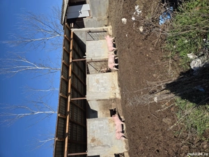 vand purcea, porc si grasuni  - imagine 5