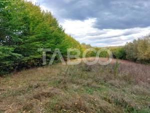 Teren intravilan de vanzare 550m front 21 m utilitati la 120m Cisnadie