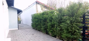 Casă renovată integral – ideală pentru birou/cabinet, sediu de firma - imagine 2