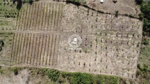 Teren pentru constructii case  de vanzare Iasi, Mogosesti, - imagine 3