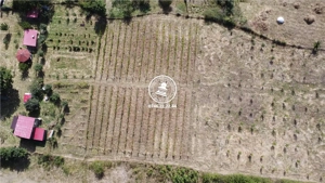 Teren pentru constructii case  de vanzare Iasi, Mogosesti, - imagine 2