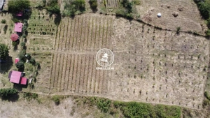 Teren pentru constructii case  de vanzare Iasi, Mogosesti, - imagine 4