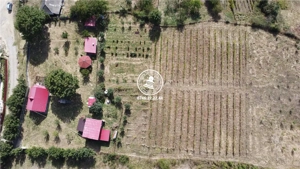 Teren pentru constructii case  de vanzare Iasi, Mogosesti,