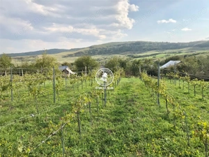 Teren pentru constructii case  de vanzare Iasi, Mogosesti, - imagine 6