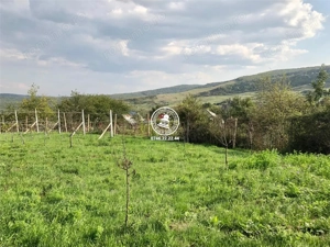 Teren pentru constructii case  de vanzare Iasi, Mogosesti, - imagine 7